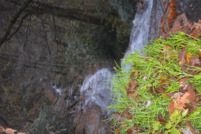 Hidden away in the woods  was this beautiful waterfall