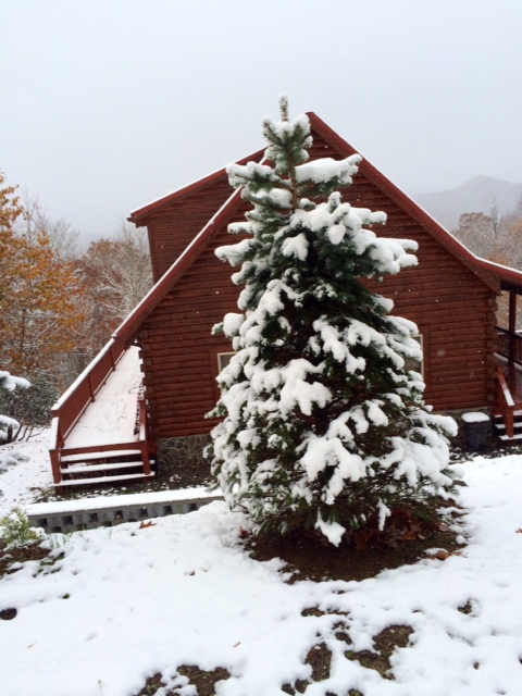 Snowy day at the cabin in the Smoky Mountains