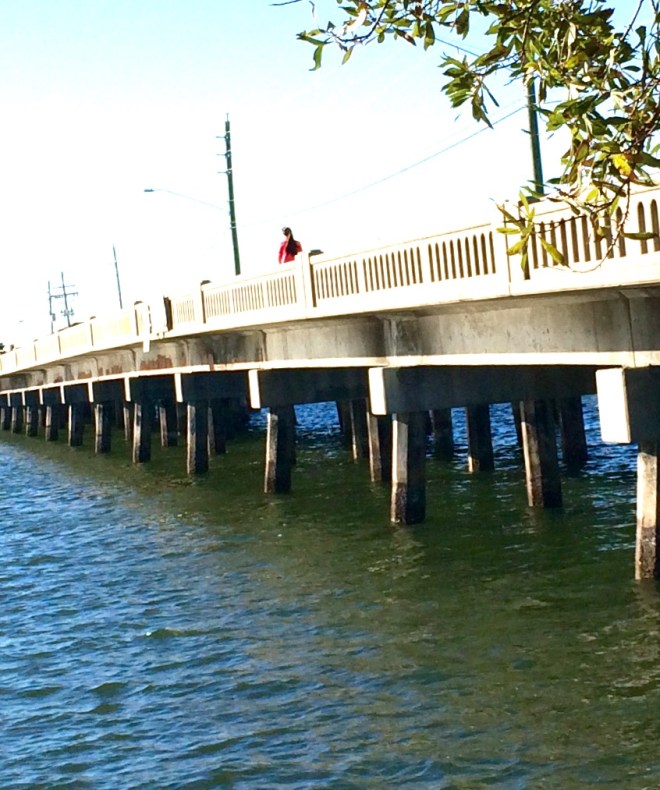 Design lines, Bridge